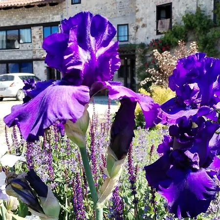 Al Rol Séjour à la campagne *