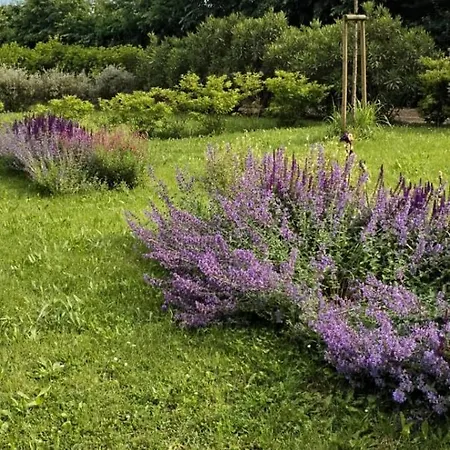 Εξοχικό σπίτι Al Rol