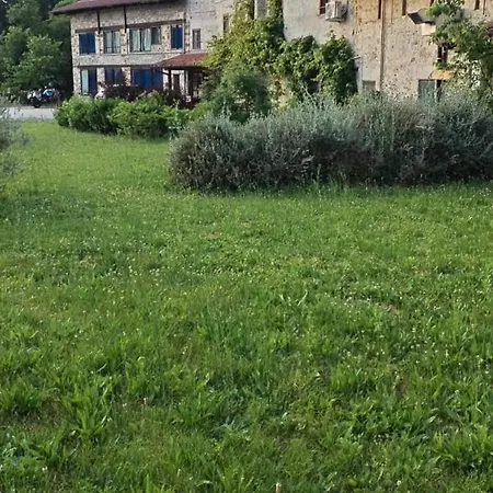 Al Rol Gospodarstwo wiejskie *