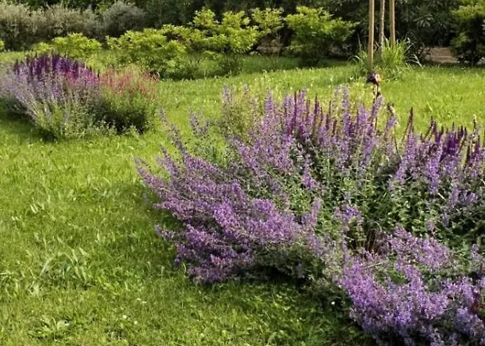 Εξοχικό σπίτι Al Rol